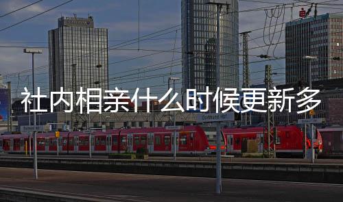 内相哪看更新更新多久相亲一集集在亲全社内什么时候 社