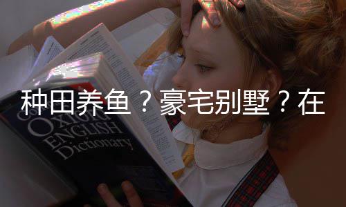 个性打造的仙种田宅别在蜀养鱼一座豪境传府墅说中十足