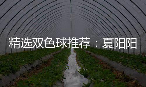 大专等2中2万夏阳衔三阳领精选荐家同球推双色
