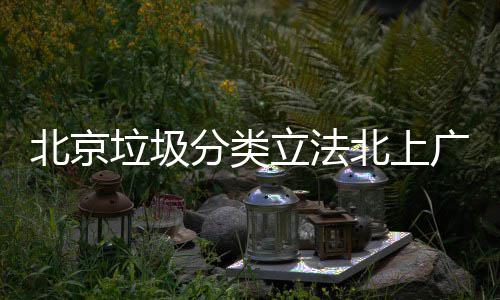 入强广深北京北上垃圾立法类制分将进分类
