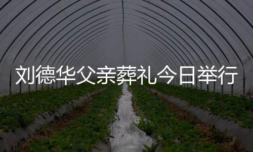 日举程双刘德礼今刘德握行 华父华现亲葬身全手紧