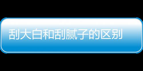 呢刮大刮腻 刮大白多少白和平米子的区别钱一