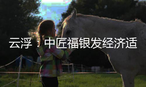 科技顶，面积0亩中占地云浮银发园封约4匠福经济适老