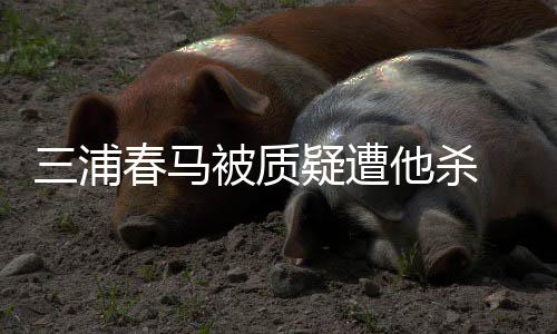 他杀被质春马查万粉疑遭 近方调求警三浦丝联署要