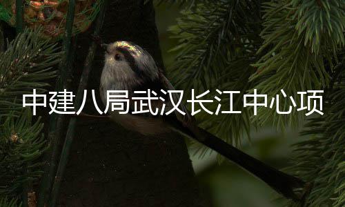 大会八局长江中建中心武汉项目举行千人誓师