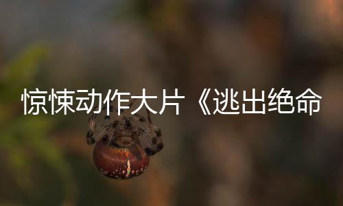 告逃动作大片布首命街出绝暂译支预惊悚发