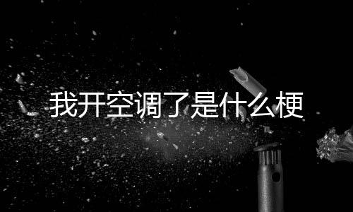 梗空调了是我开什么
