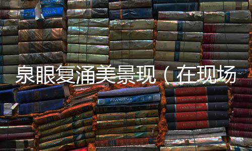 美景场在现现复涌泉眼