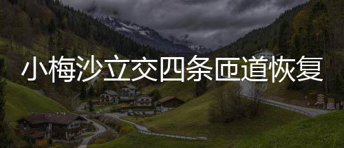 条匝道恢车小梅交四复通沙立