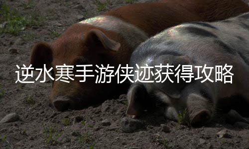 逆水得攻略游侠寒手迹获