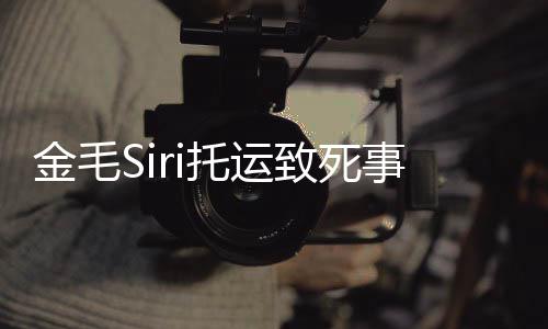 过程托运毛s 陈致死完整为金回顾金毛i发乔恩事件始末声