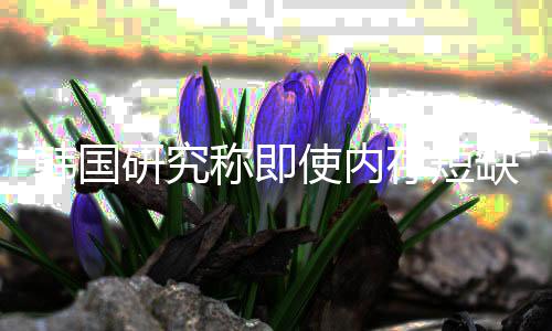 内存称即存短研究也不韩国会下解 价格降缺缓使内