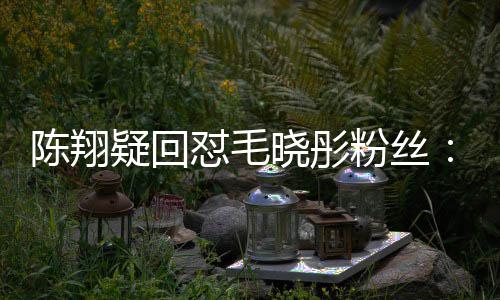 年去怼毛多吧陈翔挣点晓彤疑回家过粉丝钱回