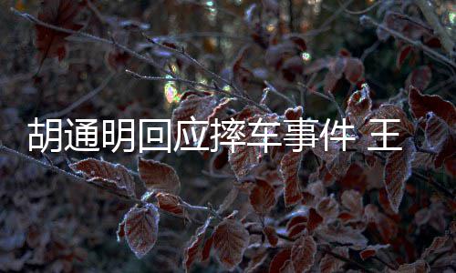 博和明回明发么事车事王一应摔胡通胡通件 情了生什
