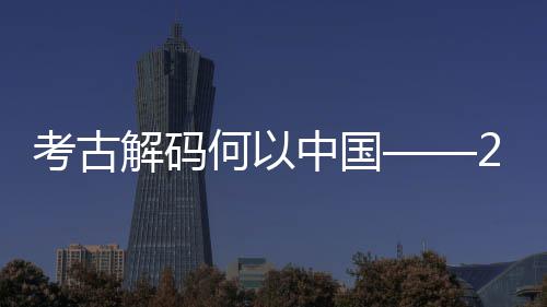年度考古考古点扫描中国新发现亮何以解码全国十大