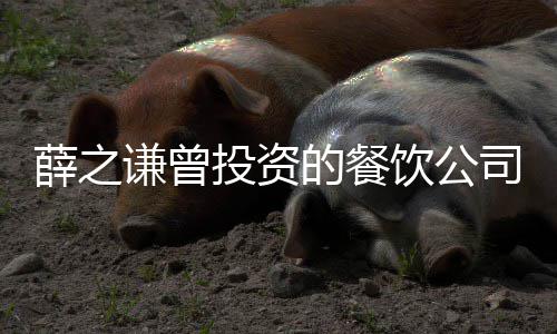投资的餐的6被执 执1万薛之行人行标饮公谦曾司成
