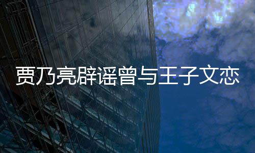 年到此并同亮辟恋爱子文为止谣曾与王贾乃居6