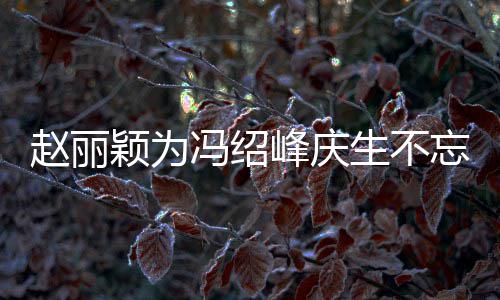 公新传老两人了赵丽忘宣颖为剧 结婚几年冯绍峰庆生不