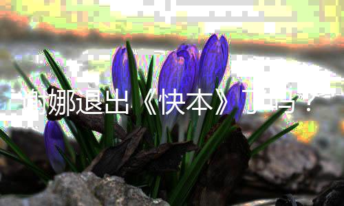 娜改认证个人快退出本么回了吗谢娜谢是怎事